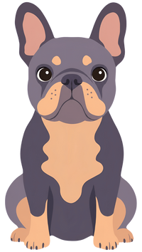 French Bulldog Blue