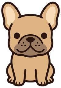 French Bulldog Tan