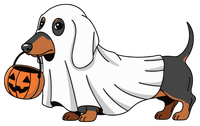 Ghost Dog