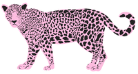 Pink Leopard