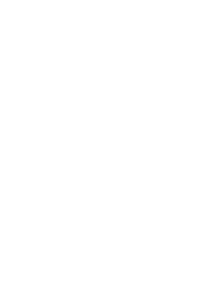 Drawn Heart